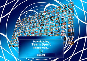 乐鱼体育app在线登录-决赛MVP背后的团队协作密码,总决赛mvp奖杯叫什么