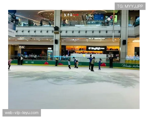 冰球场冷空气：刚浇过冰的清新，场地冰球